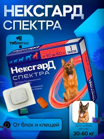 Нексард Спектра Xl 30-60 кг 1 таблетка